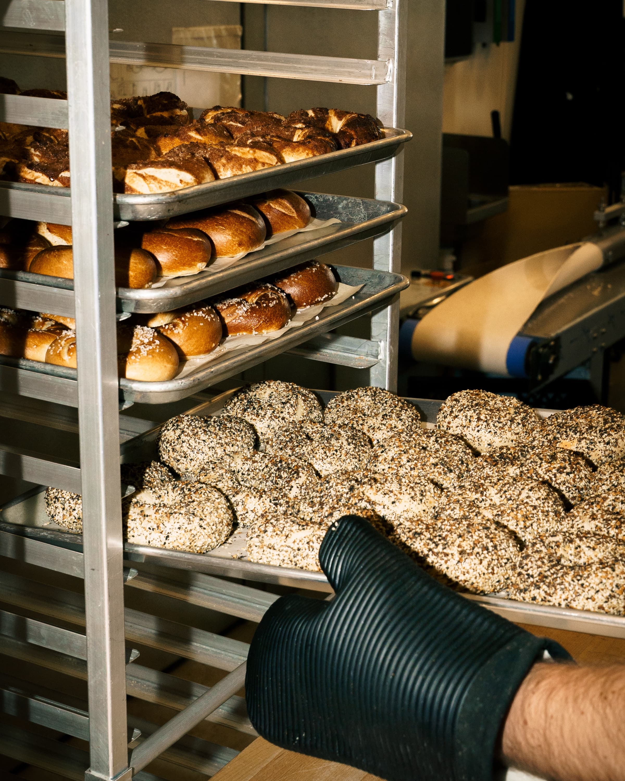 Fresh bagels cooling on bakery racks