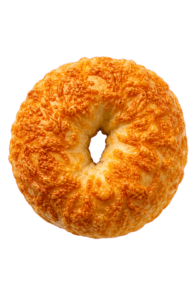 Asiago bagel
